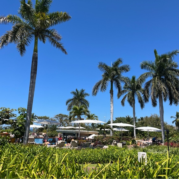 Meet your Posher, Andrea - Picture 3 of 7